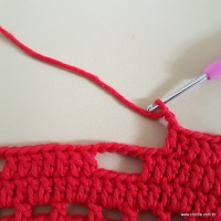 Tapete vermelho malagueta (484)