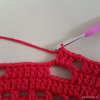 Tapete vermelho malagueta (485)
