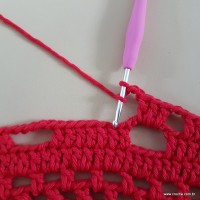 Tapete vermelho malagueta (487)
