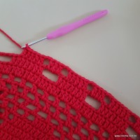 Tapete vermelho malagueta (489)