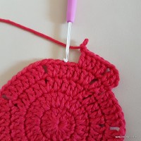 Tapete vermelho malagueta (49)