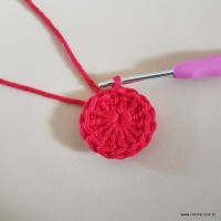 Tapete vermelho malagueta (5)