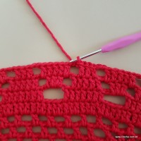 Tapete vermelho malagueta (505)