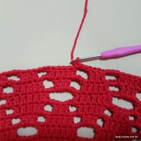 Tapete vermelho malagueta (539)