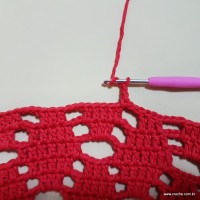 Tapete vermelho malagueta (540)