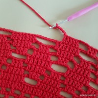 Tapete vermelho malagueta (556)