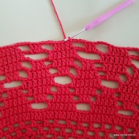 Tapete vermelho malagueta (558)