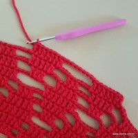 Tapete vermelho malagueta (576)