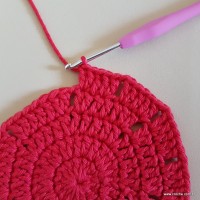 Tapete vermelho malagueta (59)
