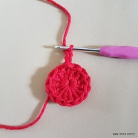 Tapete vermelho malagueta (6)