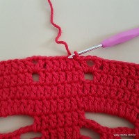 Tapete vermelho malagueta (611)