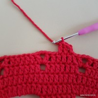 Tapete vermelho malagueta (613)