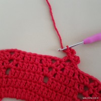 Tapete vermelho malagueta (628)