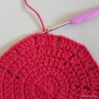 Tapete vermelho malagueta (63)