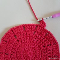 Tapete vermelho malagueta (65)