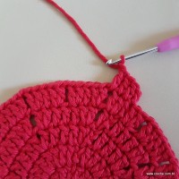 Tapete vermelho malagueta (68)