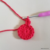 Tapete vermelho malagueta (7)