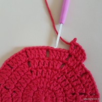 Tapete vermelho malagueta (70)