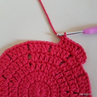 Tapete vermelho malagueta (71)