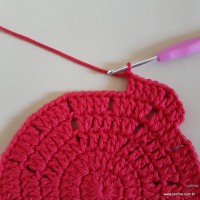 Tapete vermelho malagueta (74)