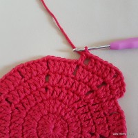 Tapete vermelho malagueta (75)