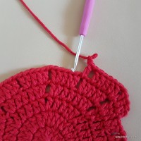 Tapete vermelho malagueta (77)