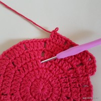 Tapete vermelho malagueta (79)
