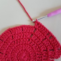 Tapete vermelho malagueta (81)