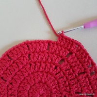 Tapete vermelho malagueta (84)