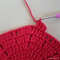Tapete vermelho malagueta (92)