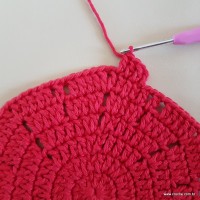 Tapete vermelho malagueta (93)