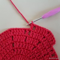 Tapete vermelho malagueta (98)