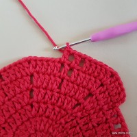 Tapete vermelho malagueta (99)