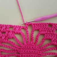 Tapete aranha - passo a passo (353)