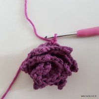 Flor Rhosângela - passo a passo (51)