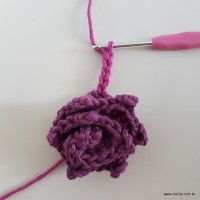 Flor Rhosângela - passo a passo (52)