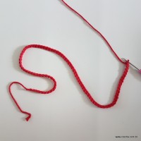 Tapete vermelho passo a passo (1)