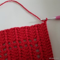 Tapete vermelho passo a passo (101)