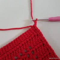 Tapete vermelho passo a passo (111)