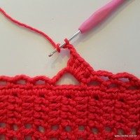 Tapete vermelho passo a passo (141)