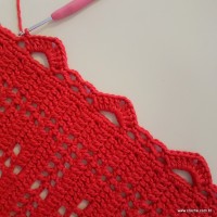 Tapete vermelho passo a passo (147)