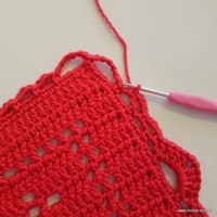 Tapete vermelho passo a passo (148)