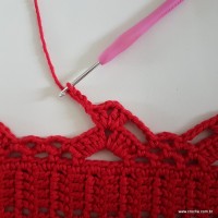 Tapete vermelho passo a passo (170)