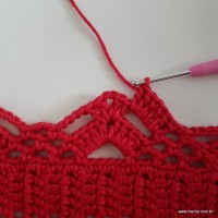 Tapete vermelho passo a passo (181)