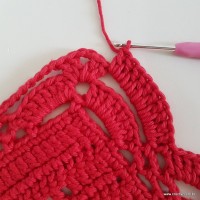 Tapete vermelho passo a passo (193)