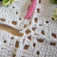 Tapete lavanda - Passo a passo (111)