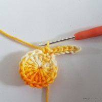 Flor rasteirinha premium passo a passo (13)