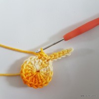 Flor rasteirinha premium passo a passo (14)