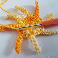 Flor rasteirinha premium passo a passo (27)