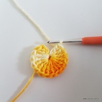 Flor rasteirinha premium passo a passo (4)